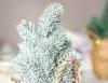 Настольная ёлочка-снежок В корзинке, зелёная заснеженная, хвоя - 100% РЕ, 24 см, Kaemingk (Everlands) 680111-2