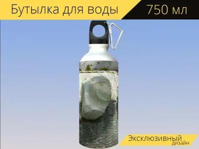 Бутылка фляга для воды "Окаменелости, аммониты, камни" 750 мл. с карабином и принтом