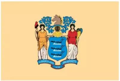 Флаг штата Нью-Джерси (США) 90х135 см