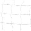 Сетка для гандбола/мини-футбола, нить 2,2 мм, ячейки 100 х 100, 2 шт., цвет белый/синий