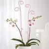 Техоснастка Держатель для орхидеи, 60 см, цвет микс