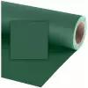 Фон бумажный Raylab 006 Dark Green Зеленый 2.72x11 м