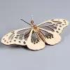3D пазл «Юный гений»: Собери бабочку