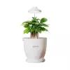 Умная экоферма для выращивания растений Onemi Intelligent Flowerpot Fill Light Edition (YMT-20212)