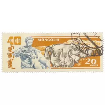 Почтовая марка Монголия 20 мунгу 1961 г. 40 годовщина победы народной республики: животноводство (2)