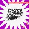 Цветная интерьерная наклейка 15х10 Castrol racing