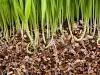Вермикулит 83 л для проращивания семян микрозелени, укоренения саженцев домашних и садовых растений и цветов, мульчирования