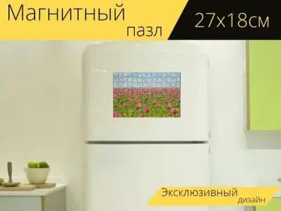 Магнитный пазл "Мак, маковое поле, цветущее маковое поле" на холодильник 27 x 18 см