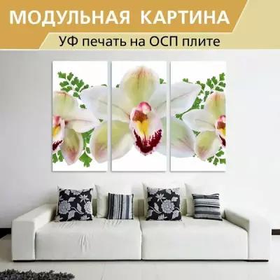 Модульная картина "Цветы, белый, орхидеи" 187х62 см. на осп для интерьера