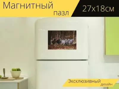 Магнитный пазл "Козы, коза, лес" на холодильник 27 x 18 см