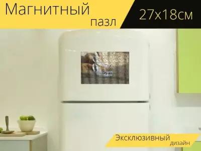 Магнитный пазл "Фенек, зоопарк, хорошие друзья" на холодильник 27 x 18 см