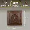 Розетка телевизионная одиночная Intro Plano 1-301-10 скрытой установки венге