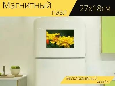 Магнитный пазл "Бабочка, шкипер, небольшой" на холодильник 27 x 18 см