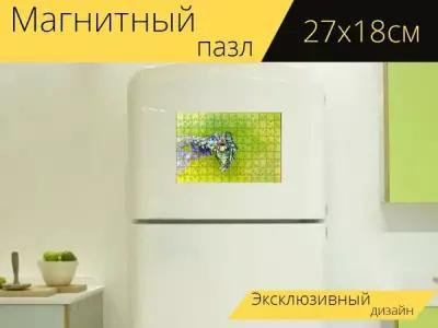 Магнитный пазл "Darownik чудный, кокон, паук" на холодильник 27 x 18 см