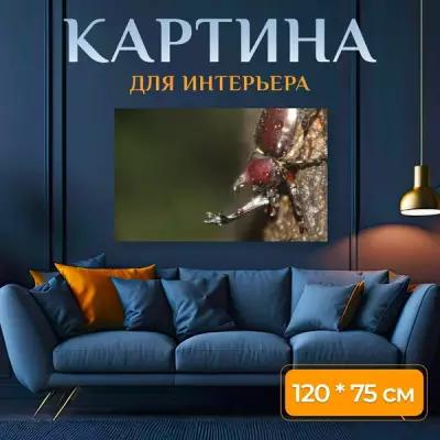 Картина на холсте "Скарабей, золотой жук, жук" на подрамнике 120х75 см. для интерьера