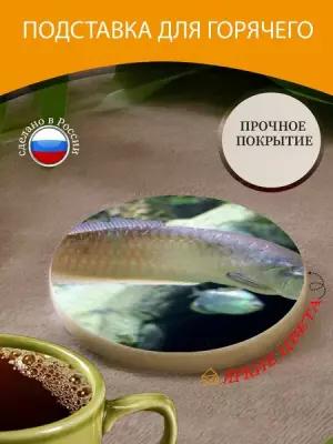 Подставка под горячее "Аравана, рыба, osteoglossum bicirrhosum" 10 см. из блого мрамора