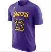 Футболка Jordan NBA Los Angeles Lakers, DV5778-511, XL