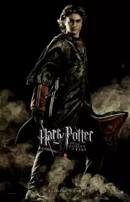 Плакат, постер на холсте Гарри Поттер и Кубок огня (Harry Potter and the Goblet of Fire), Майк Ньюэлл. Размер 30 х 42 см
