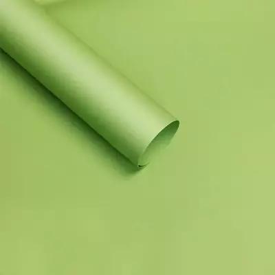 Пленка матовая для упаковки цветов, подарков "Яркий акцент" нежно-зеленый 58х58 - 20 шт