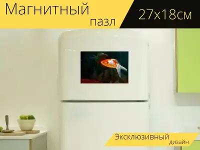 Магнитный пазл "Золотая рыбка, рыбы, аквариум" на холодильник 27 x 18 см