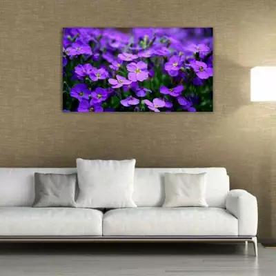 Картина на холсте 60x110 LinxOne "Природа лето макро цветы" интерьерная для дома / на стену / на кухню / с подрамником