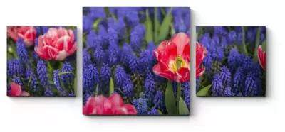 Модульная картина Цветение красок весны 160x69