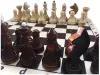 Десятое королевство Шахматы 02845 игровая доска в комплекте