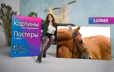 Картина на холсте 60x110 LinxOne "Конь морда грива уздечка" интерьер для дома / декор на стену / дизайн