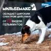 Elanco Мильбемакс для щенков и маленьких собак, 2 таб