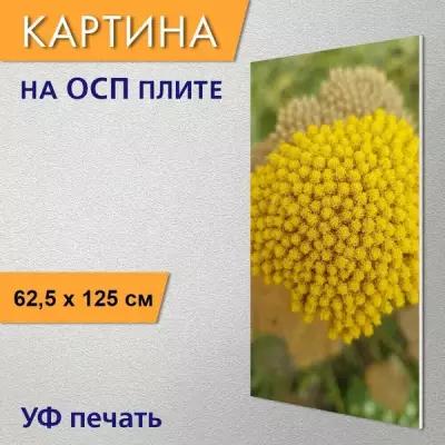 Вертикальная картина "Цветок, зонтик, желтый" для интерьера на ОСП плите, 62,5х125 см
