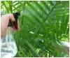 Удобрение для пальм фикусов юкки и драцены 0.2 л защищает от пожелетения и сбрасывания листьев фикуса бенгальского, бенджамина, биннендика, карики
