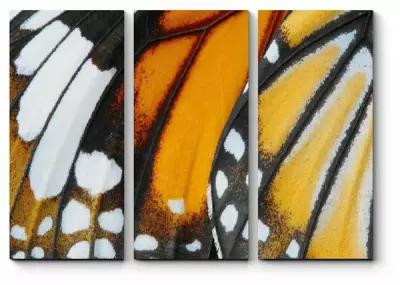 Модульная картина Крылья бабочки 160x115