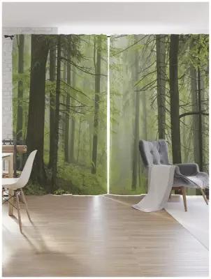 Шторы под лён JoyArty "Туманный лес", серия Oxford DeLux, 340х265 см