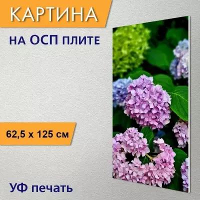 Вертикальная картина "Гортензия цветы природа фиолетовый, фиолетовый, флора" для интерьера на ОСП плите, 62,5х125 см
