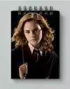 Блокнот Harry Potter, Гарри Поттер №10, А5