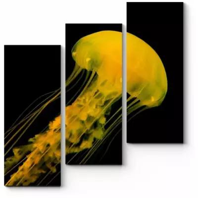 Модульная картина Золотая медуза150x160