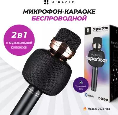Караоке микрофон TM-6101 черный с колонкой беспроводной