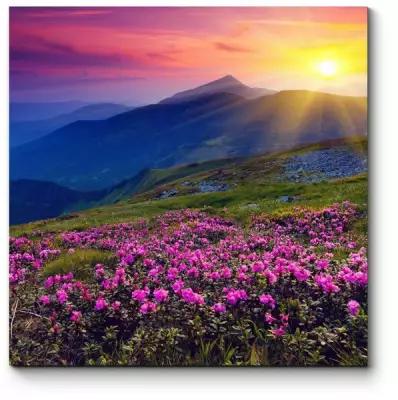 Модульная картина Розовые рододендроны в горах120x120