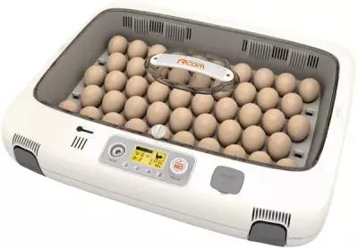 Инкубатор Rcom 50 DO PRO с овоскопом автоматический для яиц
