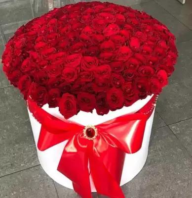 Красные розы 201шт / Букет в коробке / Цветы