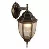 Arte Lamp Уличный настенный светильник Pegasus A3152AL-1BN, E27, 60 Вт, цвет арматуры: бронзовый, цвет плафона бесцветный