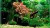 Искусственный декор для аквариума Коряга с растениями P503 14х14х10 см