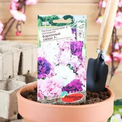 Семена цветов Петуния махровая крупноцветковая Бархатный сезон, смесь 10шт 4 упаковки