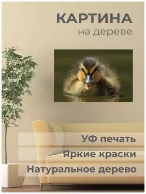 Постер. Картина на дереве "Животные, Утенок, клюв"