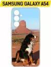 Чехол-накладка Krutoff Clear Case Бернская овчарка для Samsung Galaxy A54 5G