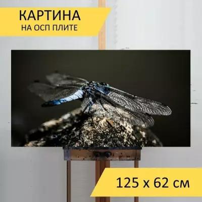 Картина на ОСП 125х62 см. "Стрекоза, природа, насекомое" горизонтальная, для интерьера, с креплениями