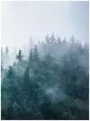 Фотообои Флизелиновые с виниловым покрытием Природа Туманный лес 200х270 см, обои на стену