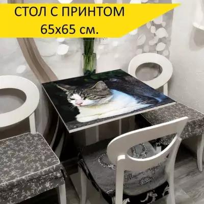 Стол "Котенок, tomcat, кошка", 65x65 см. Кухонный, квадратный, с принтом