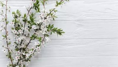 Постер на экокоже 60x80 LinxOne "Цветы белые wood white ветки" интерьер для дома / декор на стену / дизайн