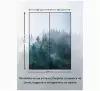 Фотообои Флизелиновые с виниловым покрытием Природа Туманный лес 200х270 см, обои на стену